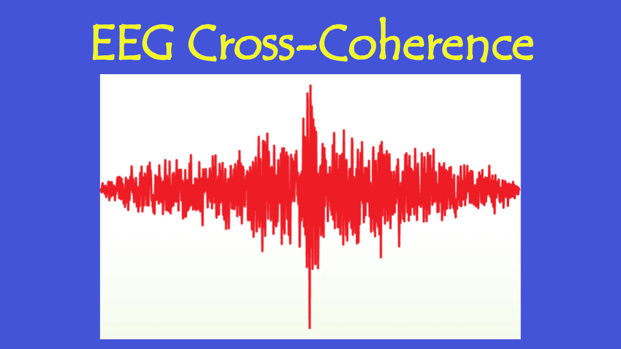 EEG Cross-Coherence Function
